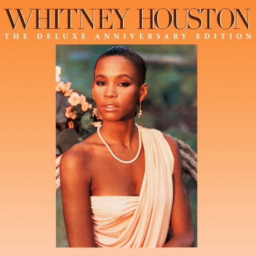 Whitney Houston - You Give Good Love